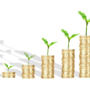 interests, investment, growing, money, coins, stack, pile, gold, profit, loan, credit, wealth, assets, savings, finance, graph, equity, budget, euro, dollar, tax, bank, debt, economy, rich, graph, equity, equity, budget, budget, budget, budget, budget